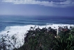 waimea2_tn.jpg